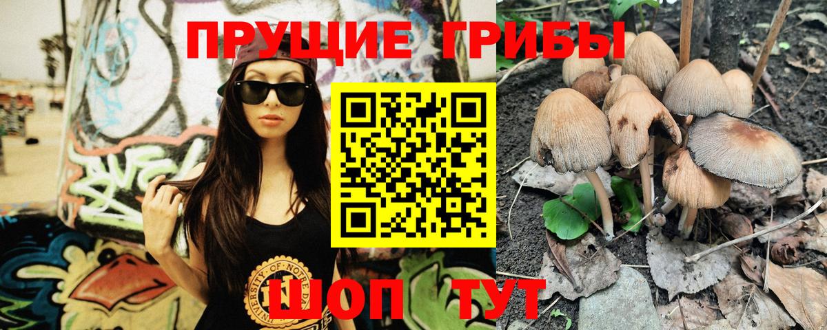 Псилоцибиновые грибы мухоморы Вышний Волочёк
