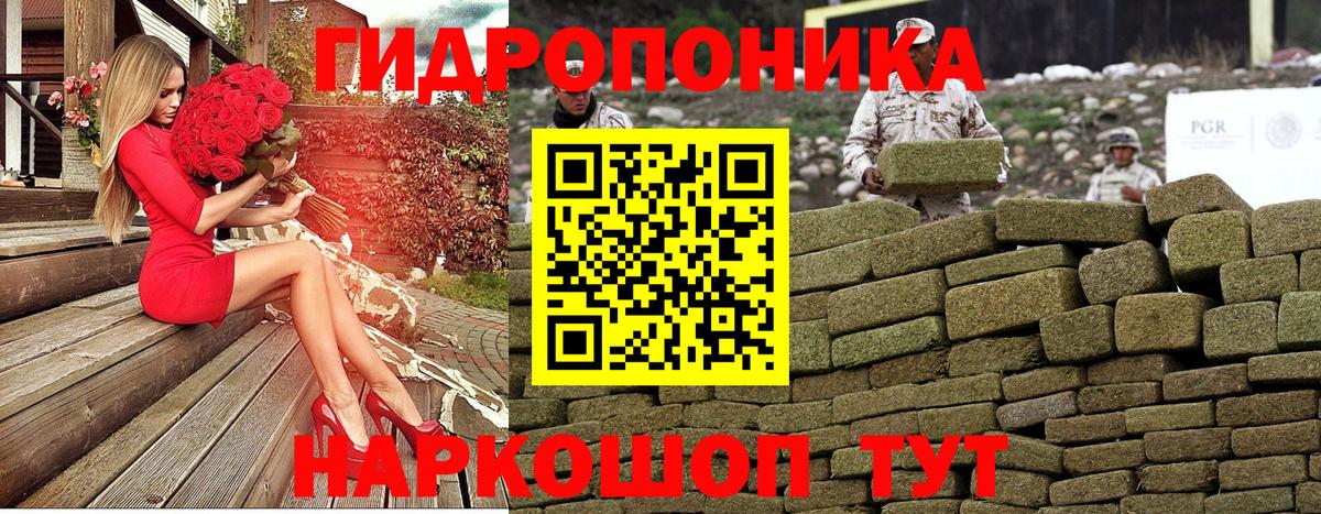 Шишки марихуана Ganja Вышний Волочёк